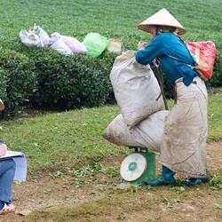 All Stunde wird abgewogen..,