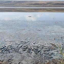 infolge des Regens der letzten Tage mit Frischwasser-Schicht😂