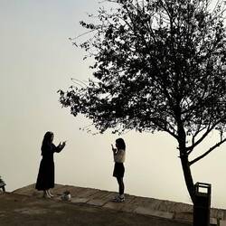 Es wird gefötelet was das Zeug hält...