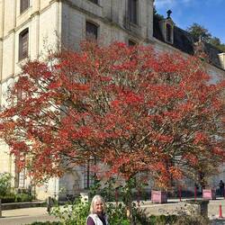 Autumn colours