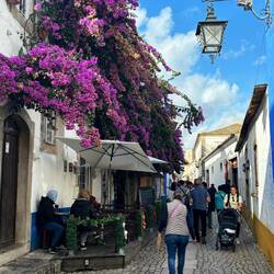 Strolling along Rua Direita
