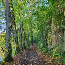 Drei Herren aus Leipzig empfehlen uns diesen Weg für die Rückfahrt.
