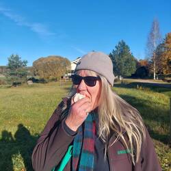 I'm eating a Liljendahl apple straight off the tree