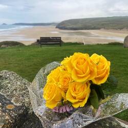 Yellow roses
