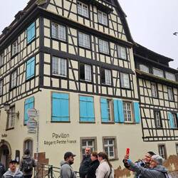 Storchennesthilfe auf dem Dach