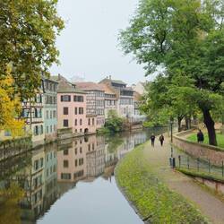 Sehr viel Grün überall