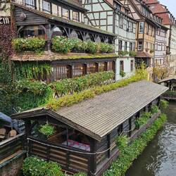 Alles ist noch schön bepflanzt und blüht.