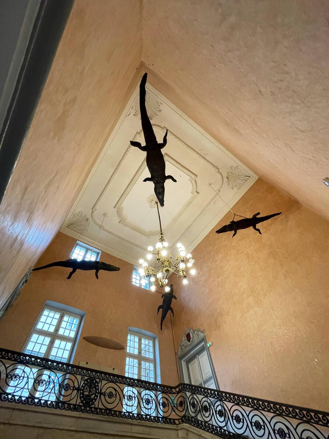 The town hall has four stuffed crocodiles hanging from the ceiling