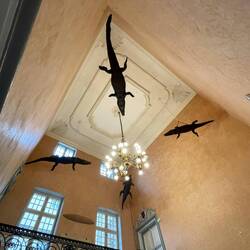 The town hall has four stuffed crocodiles hanging from the ceiling