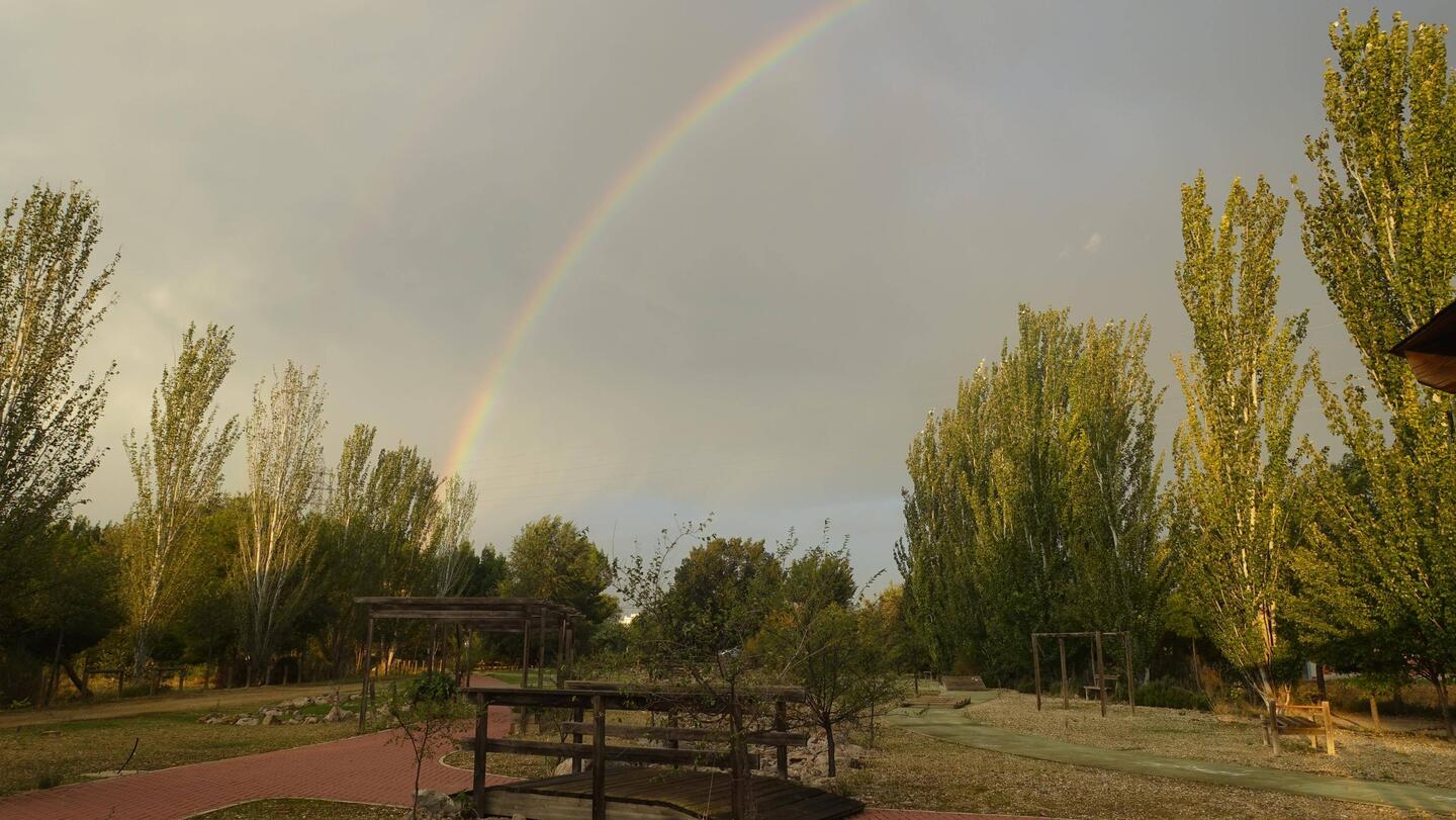 Ein Regenbogen am Morgen
