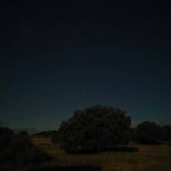 Der Komet Tsuchinshan-ATLAS, der gerade nach Sonnenuntergang im Südwesten zu sehen ist