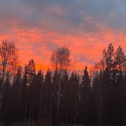 Morgenrot