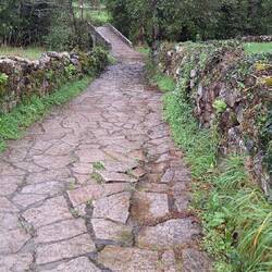 There was more water on some of the paths than the under the bridges.