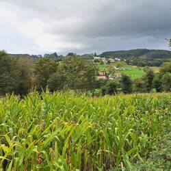 Home for the night and about time too!