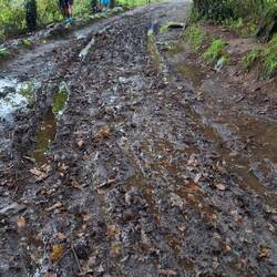 The heavy overnight and lighter morning rain made parts of the trail a little muddy.