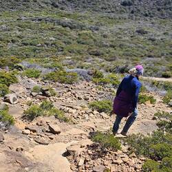 Navigating our way down; one of the steepest trails we've been on with 25 mph winds