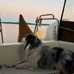 Moki checking out that full moon