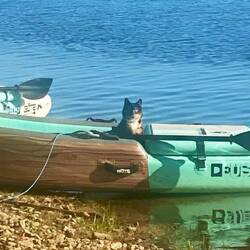 After she decided it was ok to get out of the kayak