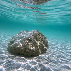 Stromatolith unter Wasser