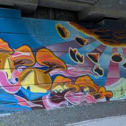 I love his bright colors