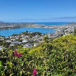 Mt. Victoria: Blick Richtung Flughafen