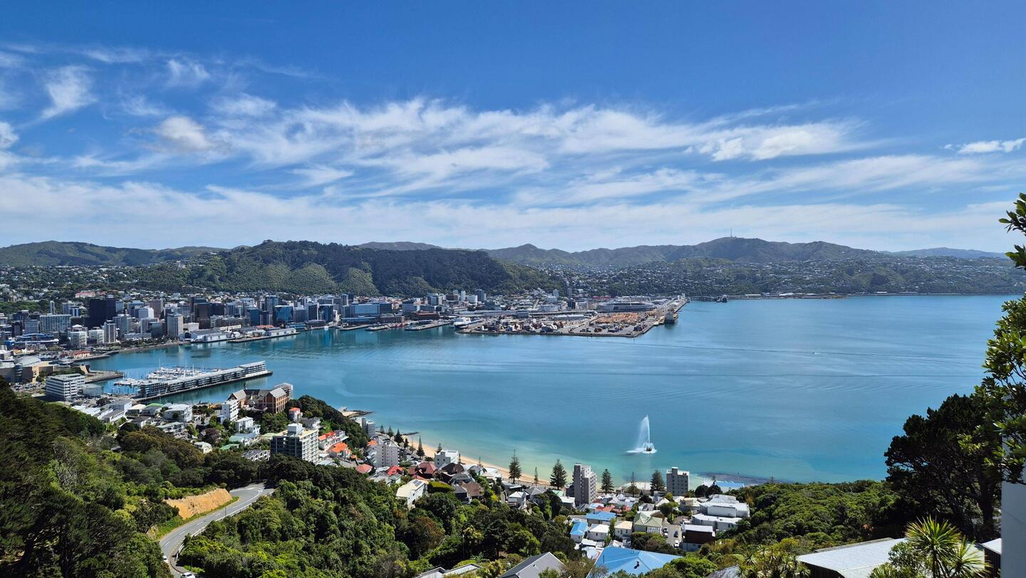 Mt. Victoria: Blick Richtung Wellington
