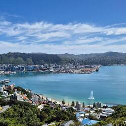 Mt. Victoria: Blick Richtung Wellington
