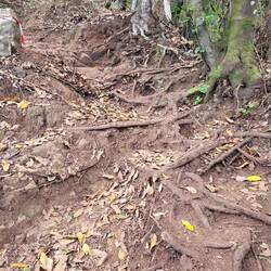 Abstiegsverhältnisse von unten nach oben fotografiert