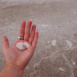 Die Salzkruste ist mehrere Millimeter dick