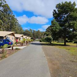 There were 8 'stargazing tents'