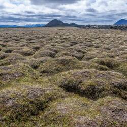 Leirhnjukur geothermal area.