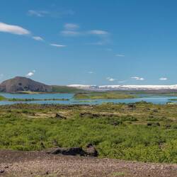 Landscape at Lake Myvatn.