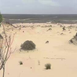 Verdammt windig hier