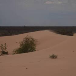 Man sieht den Sand durch die Gegend fliegen