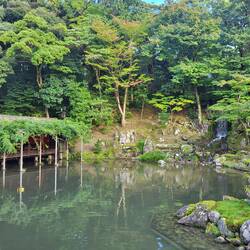 Und der Park nebenan namens Kenroku-en. Tatsächlich einer der drei "perfekten" Gärten Japans