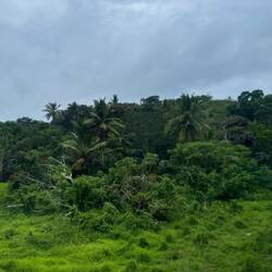 Auf dem Weg nach "Suva"