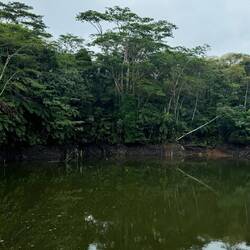 Rainforest Eco Lodge