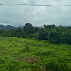 Auf dem Weg nach "Suva"