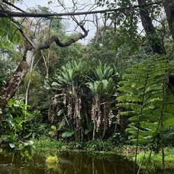 Rainforest Eco Lodge