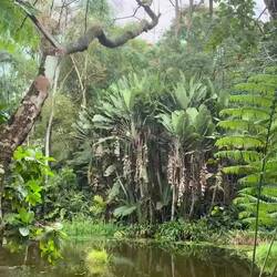 Rainforest Eco Lodge