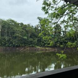 Rainforest Eco Lodge