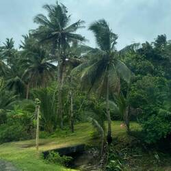 Auf dem Weg nach "Suva"