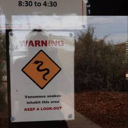 Während ich dieses Schild fotografiere, entdeckt jemand 10 Meter weiter eine Schlange