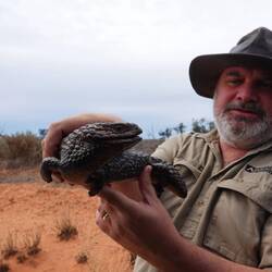 Kein Wunder, dass der Skink aggressiv ist