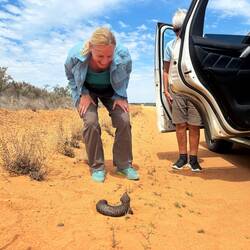 Ja, wen haben wir denn da?