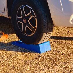 Besuch! Pelle bleibt cool! 😎