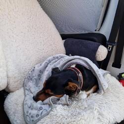 Pelle lässt das alles kalt❣️