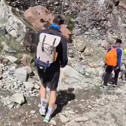 Vorne Esel, mittendrin Esel und hinten Esel