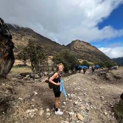 So viele Esel auf einem Bild 🤪