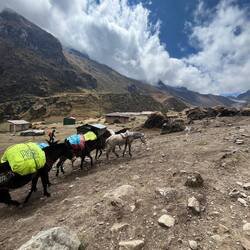 Bisschen rücksichtslos aber ansonsten super süß 🥰